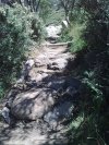 Thredbo DH 4